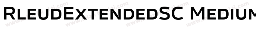 RleudExtendedSC Medium字体转换